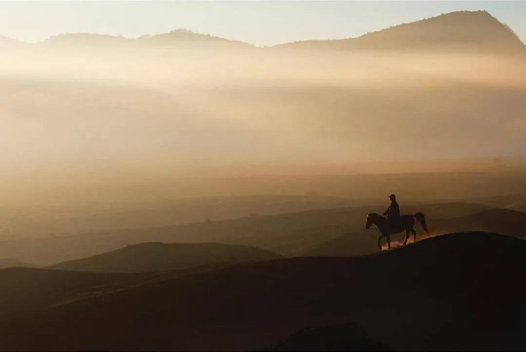 Photo by @ariamphibia on the Fujifilm X-T20