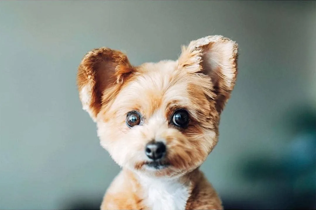 Photo by @pell_88_ on the Fujifilm X-T2 with the Fujifilm XF56mmF1.2 R WR