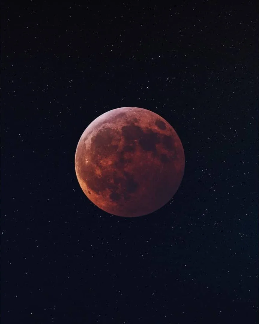 Photo by @bryanminear on the Fujifilm X-T2 with the Fujifilm XF100-400mmF4.5-5.6 R LM OIS WR
